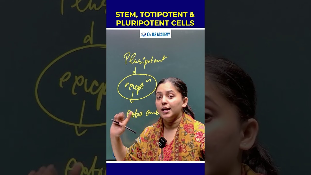 Stem, Totipotent & Pluripotent Cells #upsc