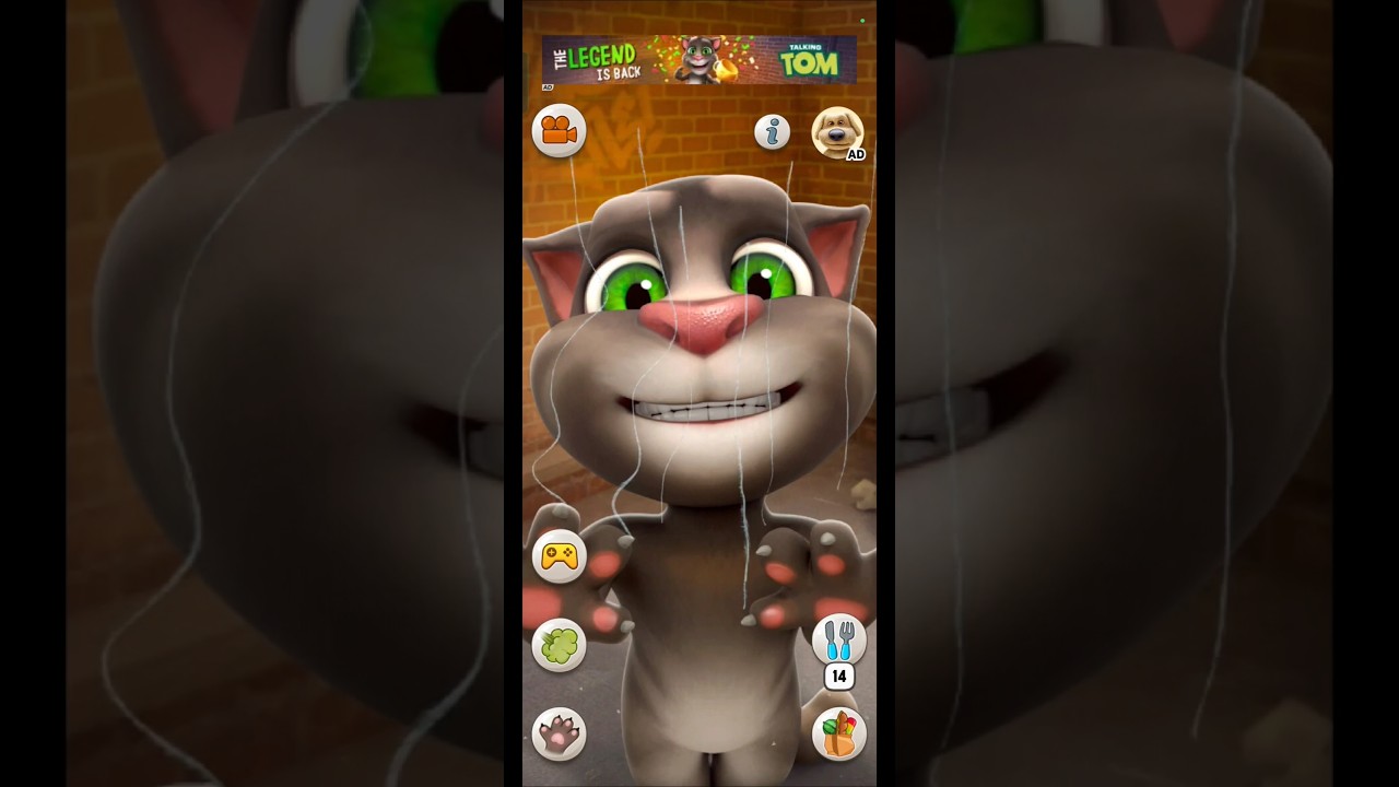 Talking Tom Cat #shorts