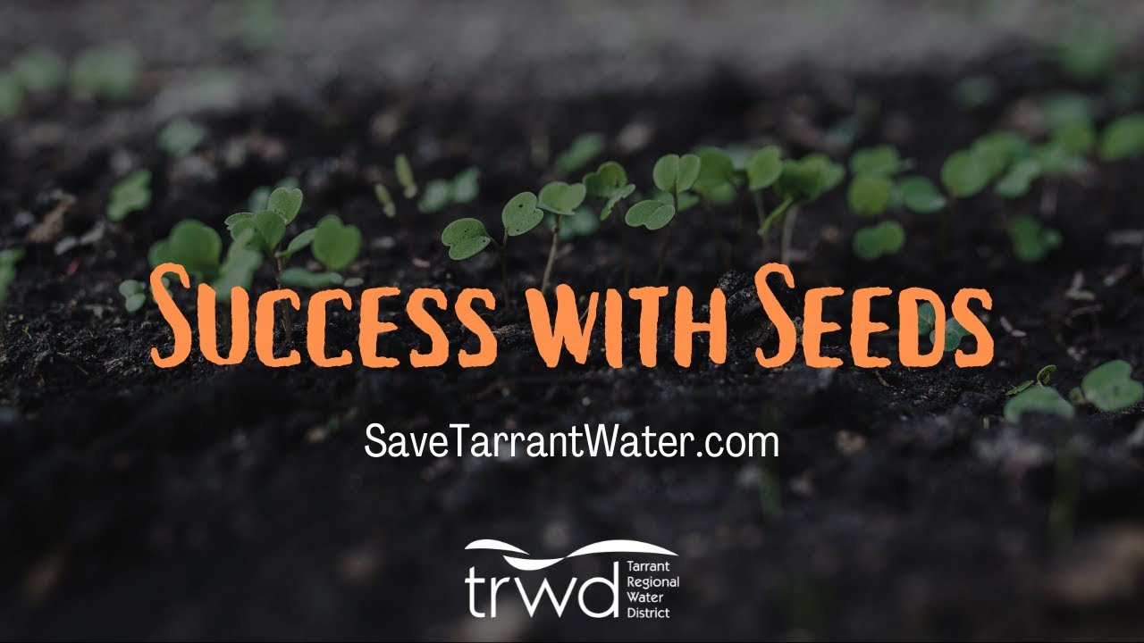 Growing Plants from Seeds