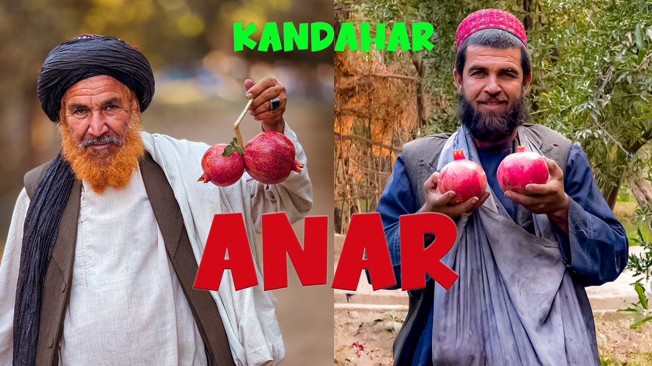 Anar Kandahar: The Sweetest, Juiciest Pomegranate in the World! 🍎