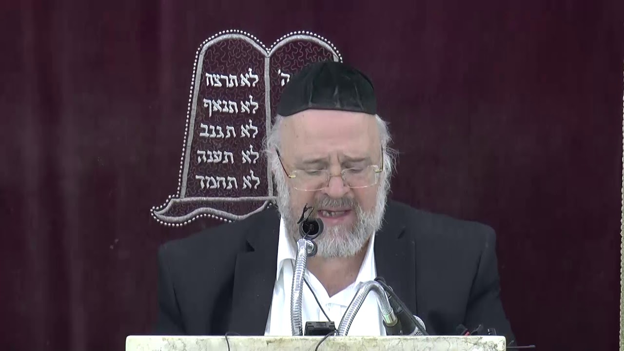 פרשת שמיני תשע