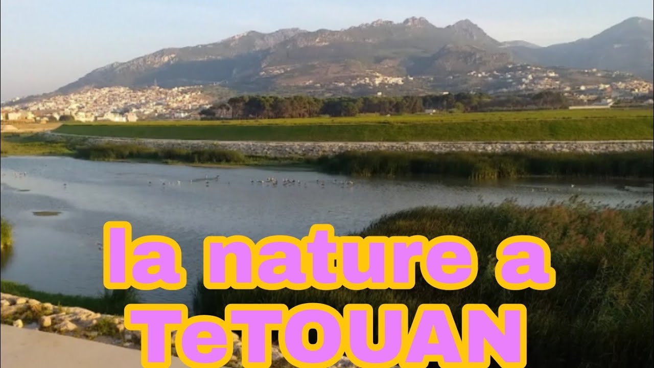 TETOUAN  LA PALOMA