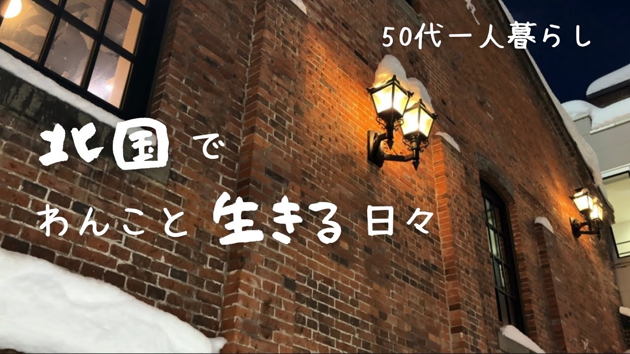 大雪で崩れた日常｜心も身体もくたくたの日｜それでもわんこが癒しをくれた｜癒しスポットに行く｜