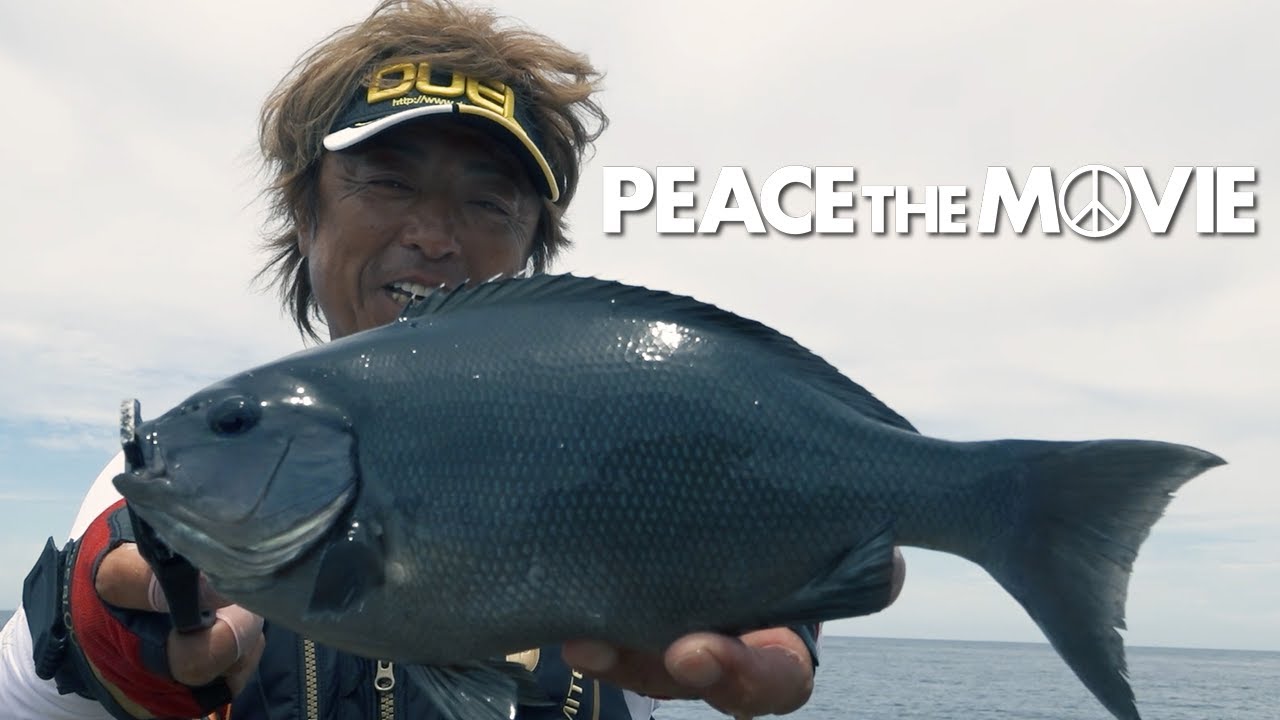 PEACE THE MOVIE #128「モンスターとの出会いを求めて、初めての釣り場へ!」九州地方・長崎県 二神島の旅/平和卓也（1472）