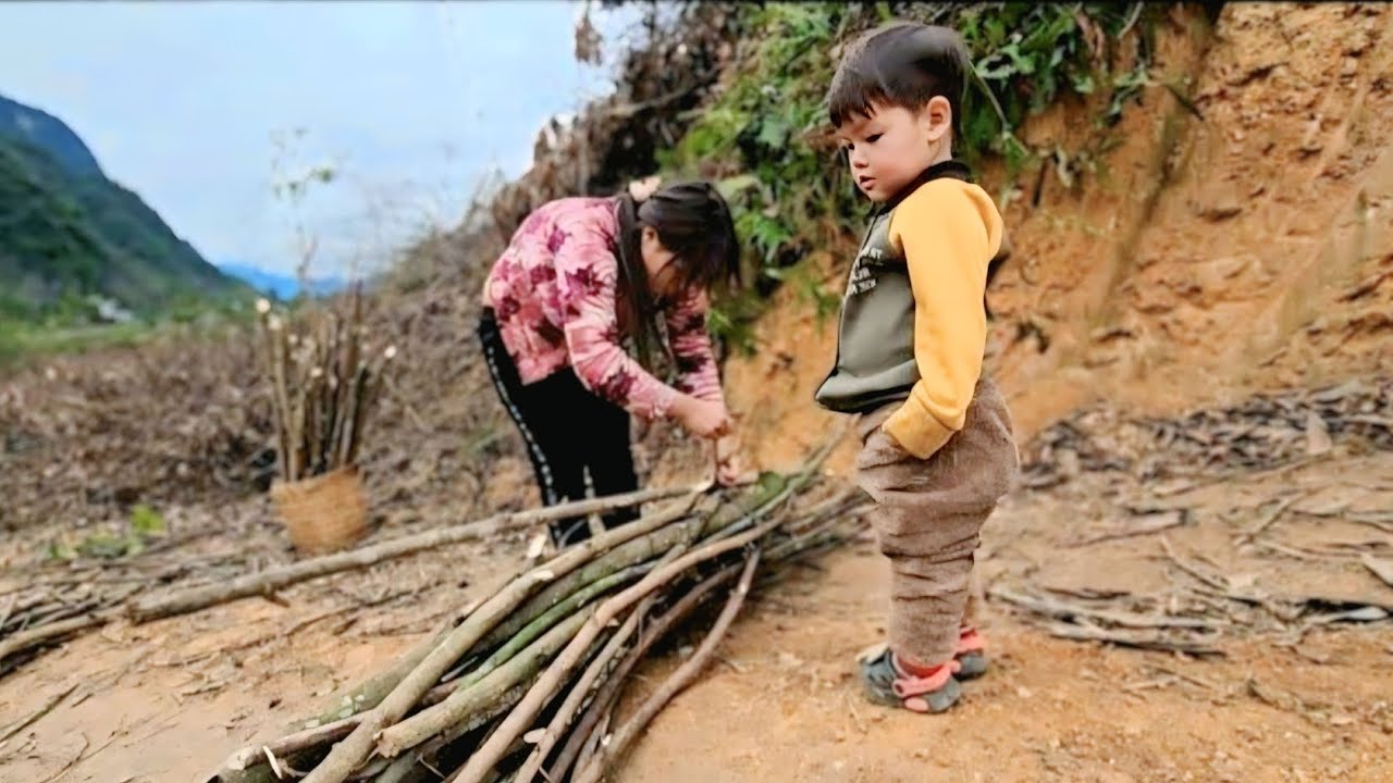 When Single Mothers— Are Overworked, Children Face Serious Safety Risks