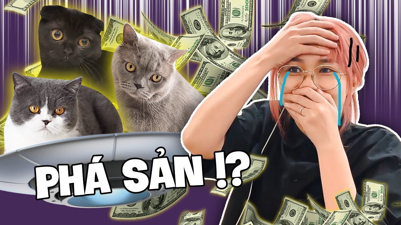 Misthy tuyên bố phá sản vì thứ này?! Unbox toàn đồ công nghệ cho mèo | BONUS STAGE
