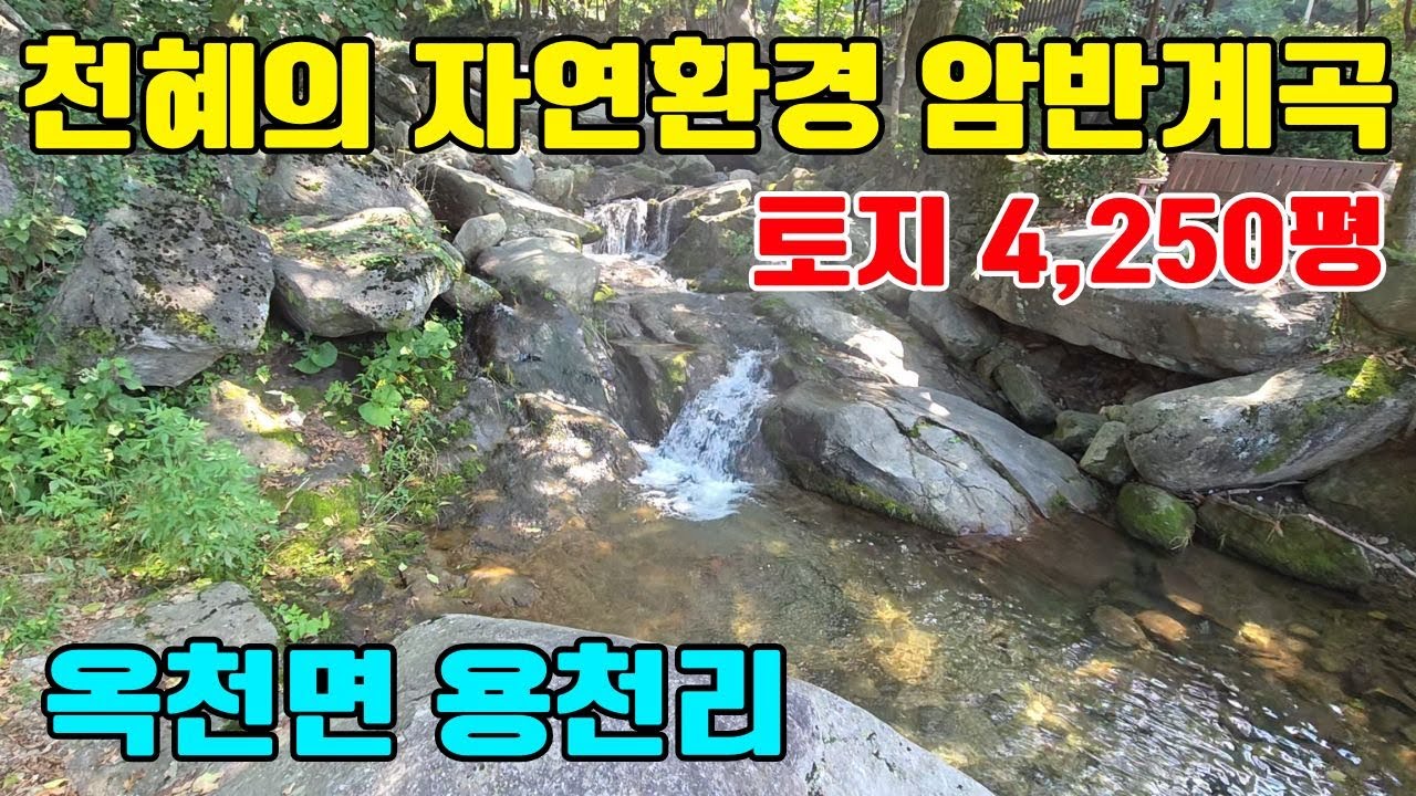 ◎30억인하 옥천면 용천리 천혜의 자연환경/암반계곡이 있는 용천리 무릉도원#용천리펜션급매물#별장급매물#양평전원주택급매물#계곡있는급매물#숲세권급매물#양평급매물#급매매#급매물