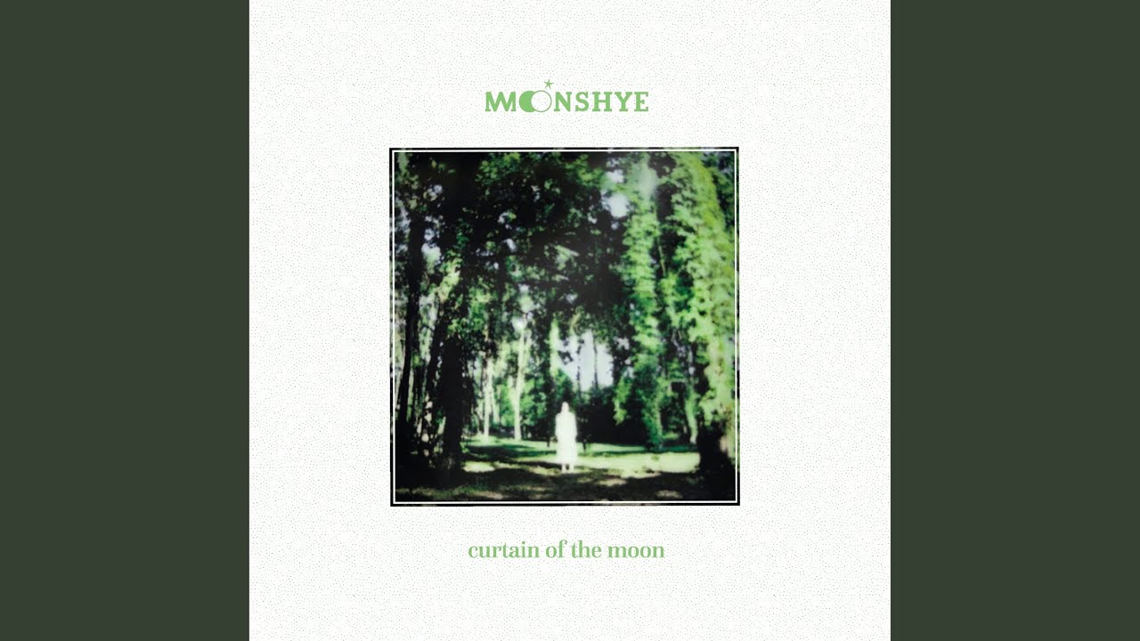 Curtain of the Moon