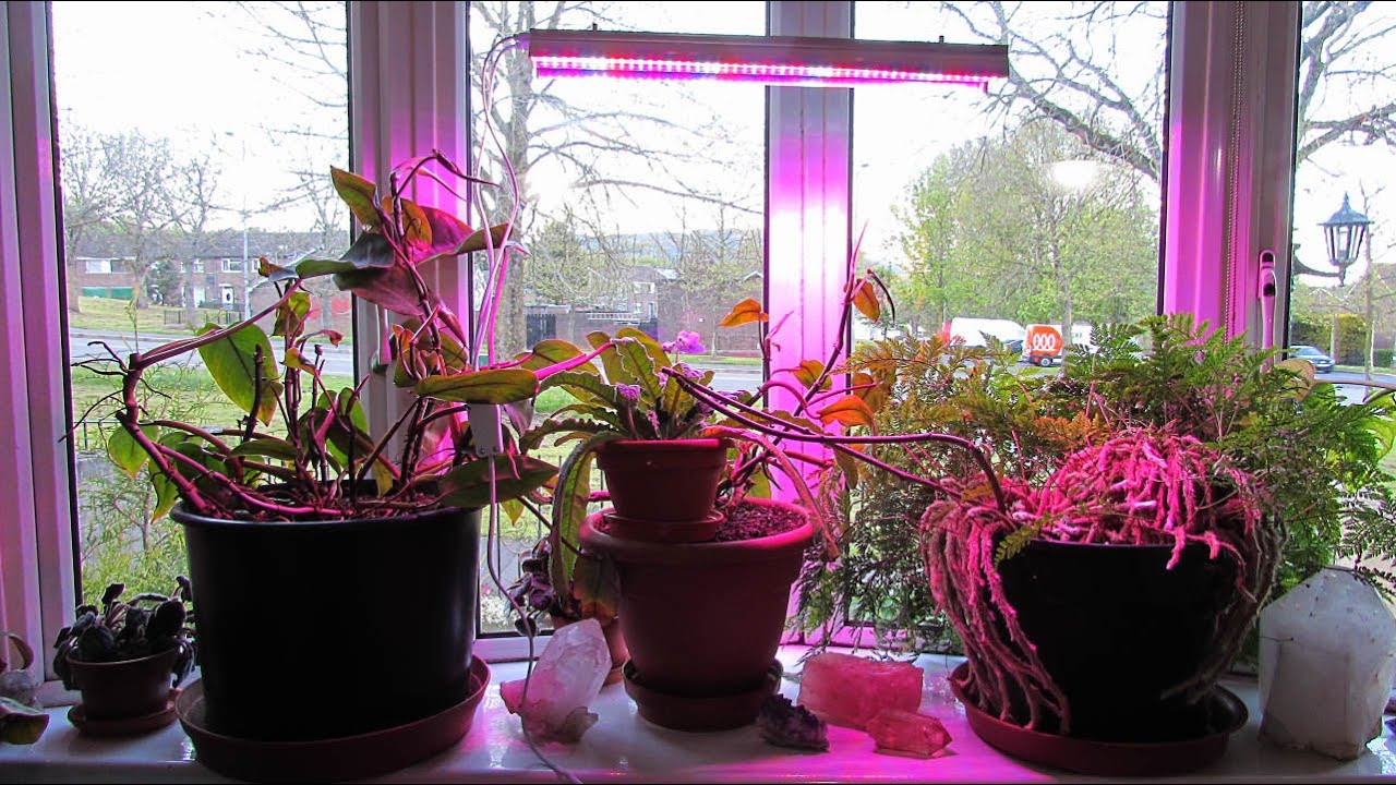 Garpsen T5 LED Plant Grow Light - 96 LEDS Full Spectrum - REVIEW