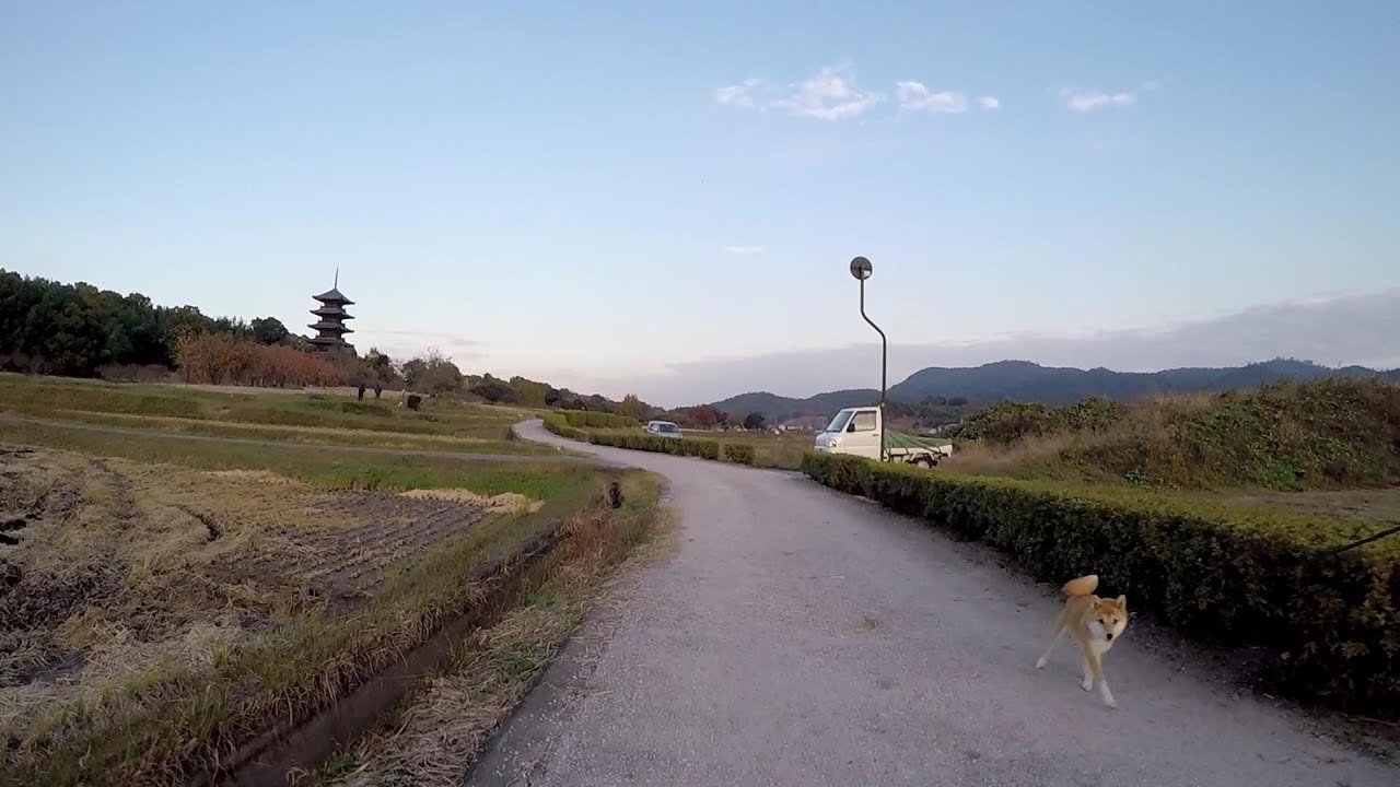 吉備路サイクリングロード 吉備津彦神社から総社運動公園を往復