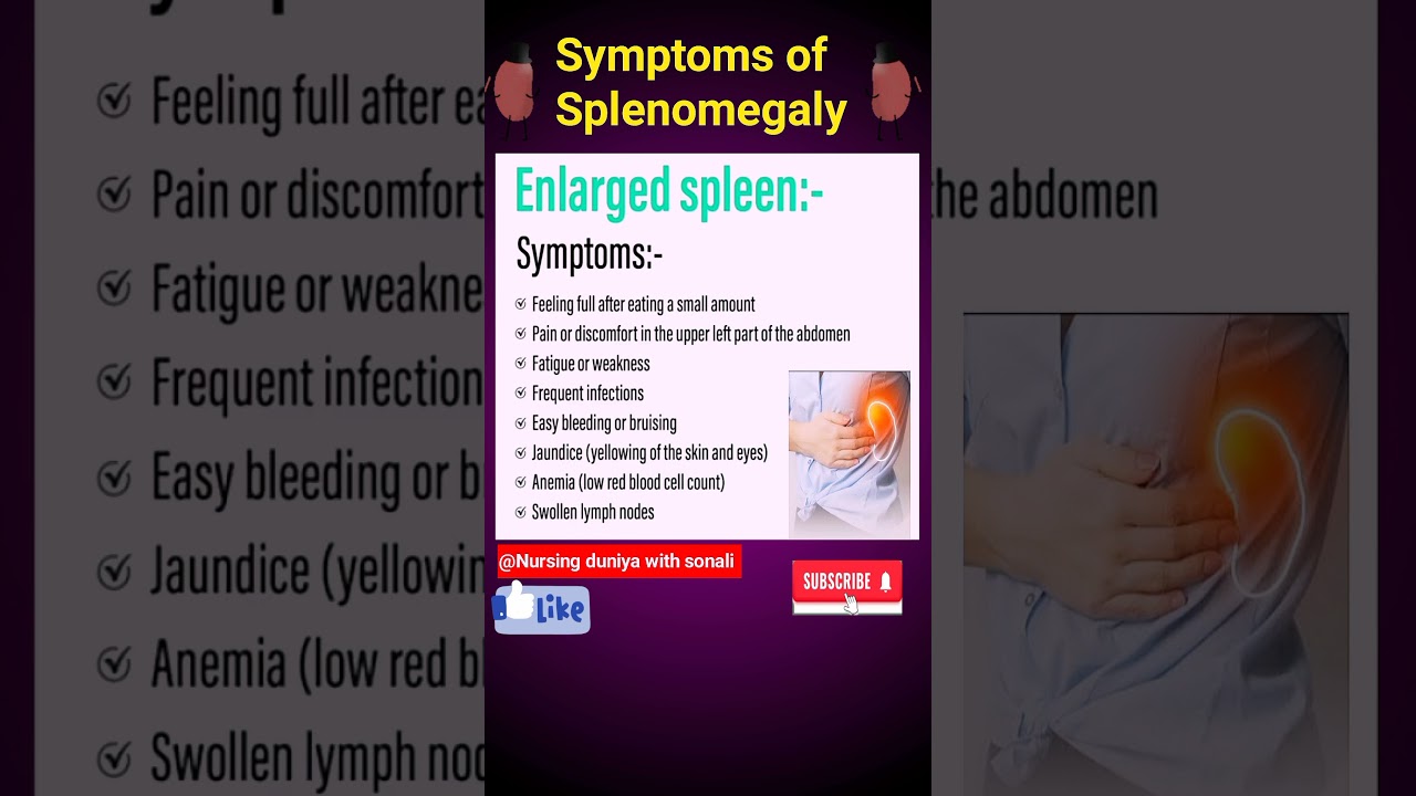 Symptoms of Splenomegaly l Enlargement of Spleen#spleen #medical#shorts