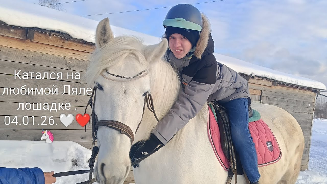 Конная прогулка по зимнему полю на Ляле лошадке. 04.01.26.