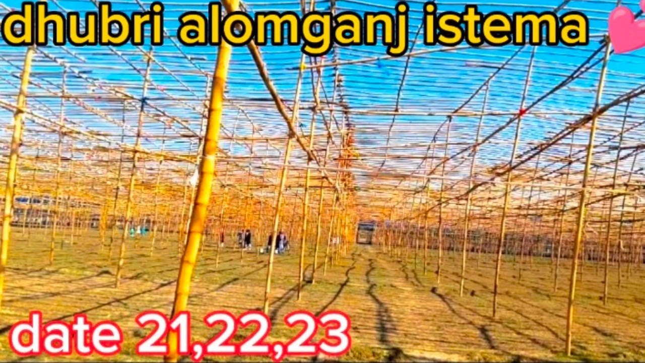 Dhubri alomganj istema 💕#youtubevideo #vairalvideo #youtubeshortsdhubriistema 