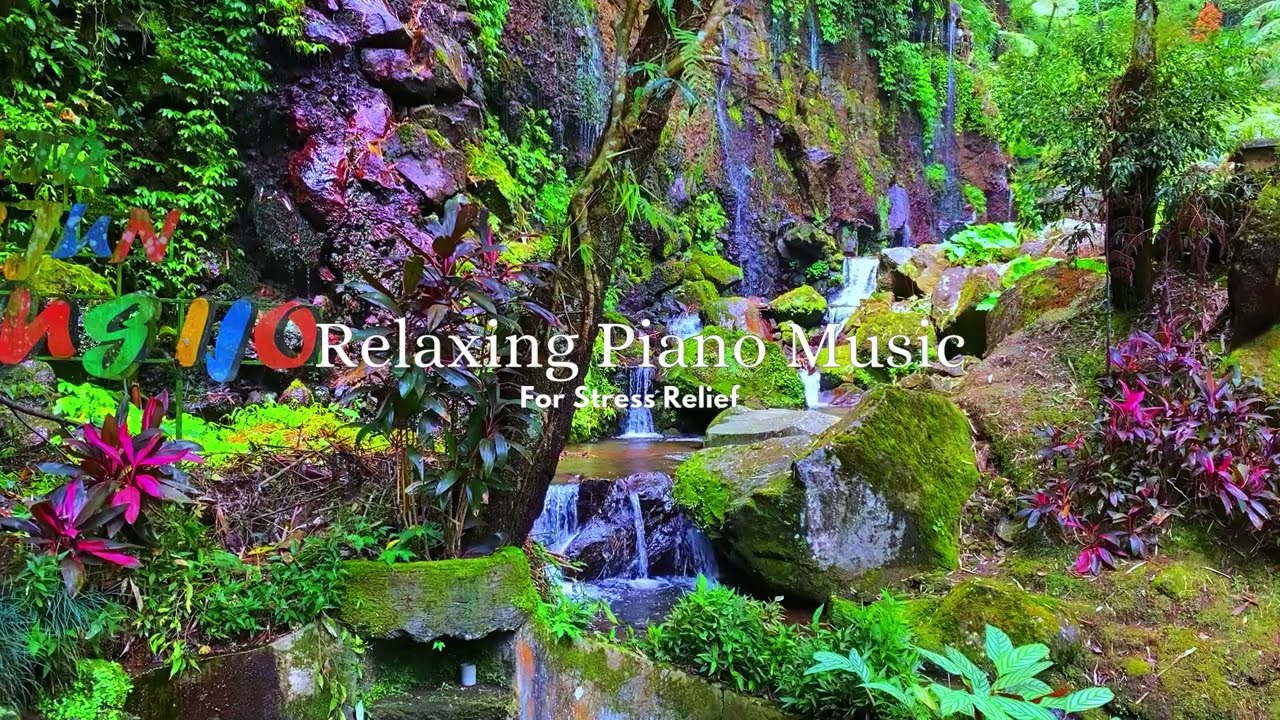 relaxing music for stress relief l relaxing music with asmr water sound l piano music for deep sleep