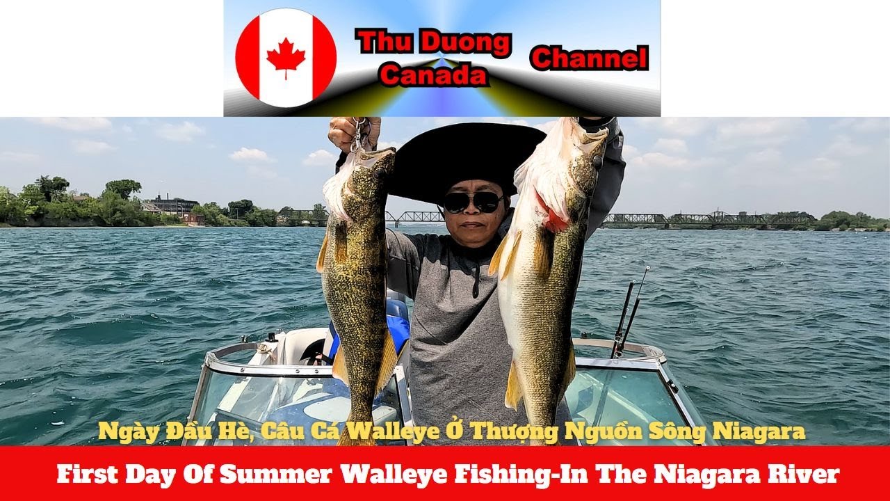 First Day Of Summer Walleye Fishing-In The Niagara River-Thu Duong Canada Channel
