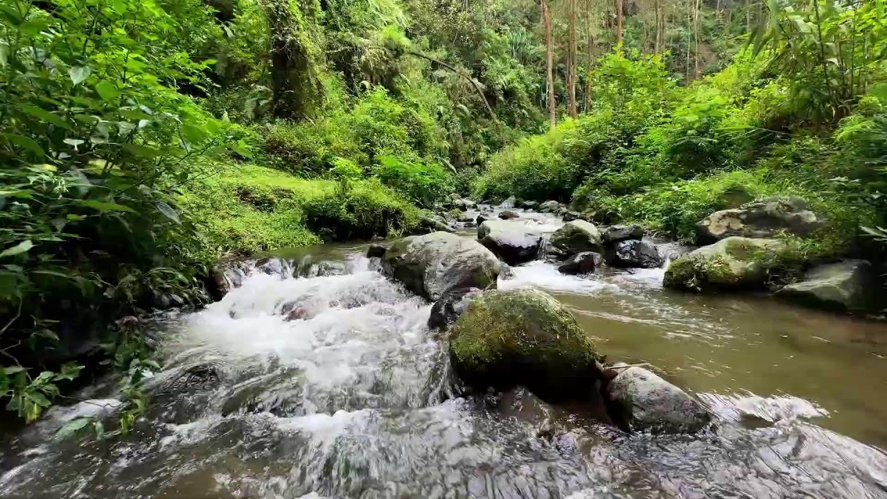 Ease anxiety with calming forest river sound along peaceful forest water to deepen night sleep