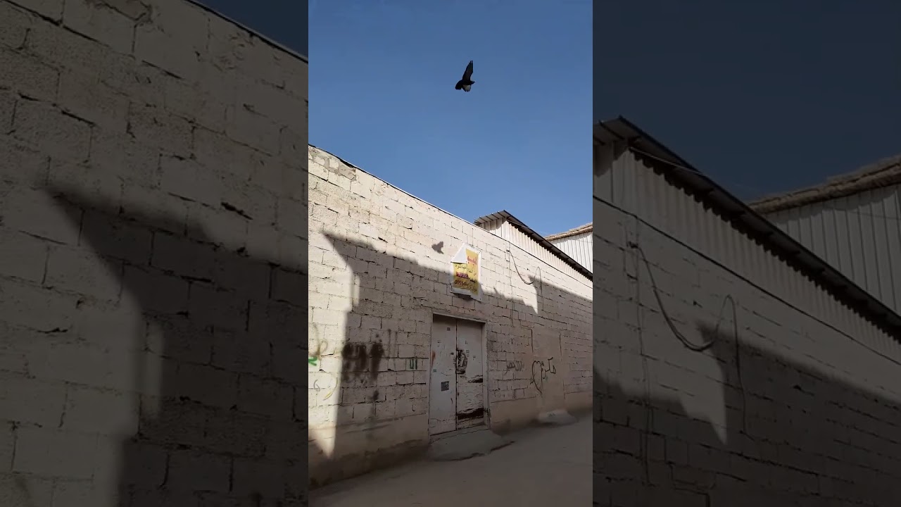 أسماء العوائل بين شارعي #السويلم و #الظهيرة #حي_الغراوية وهذا الجزاء الثالثة للحي .