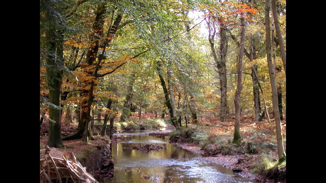 Ralph Vaughan Williams: Piano Concerto in C major