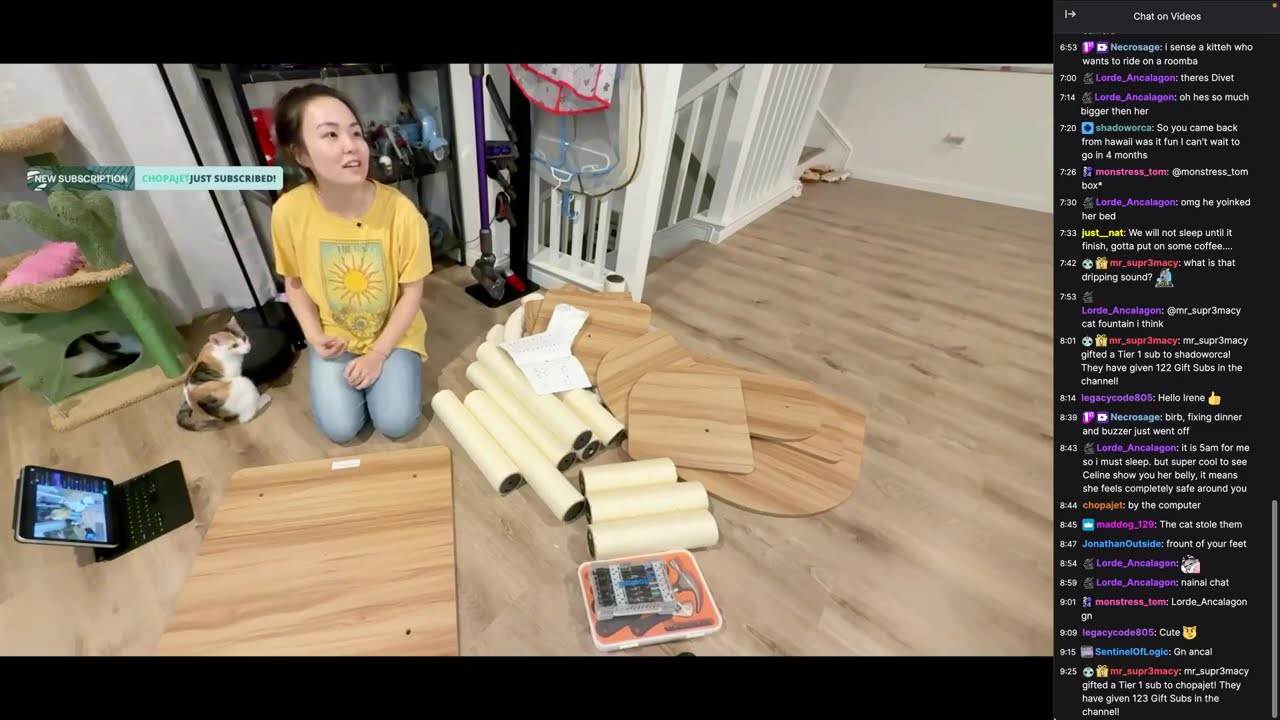 2025 09 30a - Let’s assemble a cat tweeee 🌲