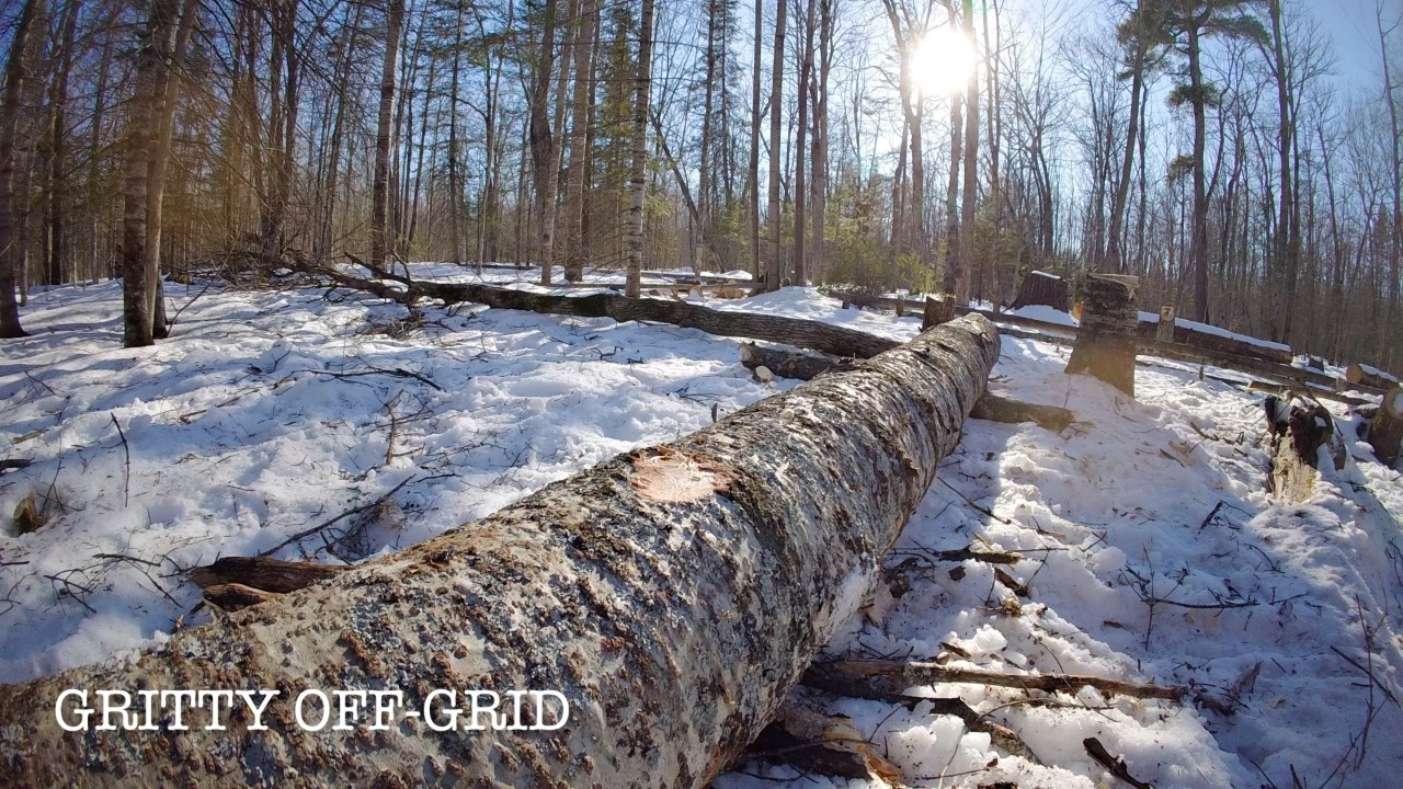 I Quit my Job | Clearing Raw Land by Hand During Winter for Off-Grid Cabin in Wilderness (EP 6)
