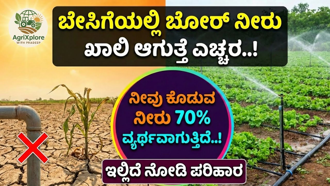ಅಂತರ್ಜಲ ನಿಮ್ಮ ಜಮೀನಿನಲ್ಲಿರುವ ದೊಡ್ಡ ನಿಧಿ..!🌞💧ಬೇಸಿಗೆಯಲ್ಲಿ ನೀರಿನ ನಿರ್ವಹಣೆ ಗೊತ್ತಿಲ್ಲ ಅಂದ್ರೆ ಕೃಷಿ ಬೇಡ.! 