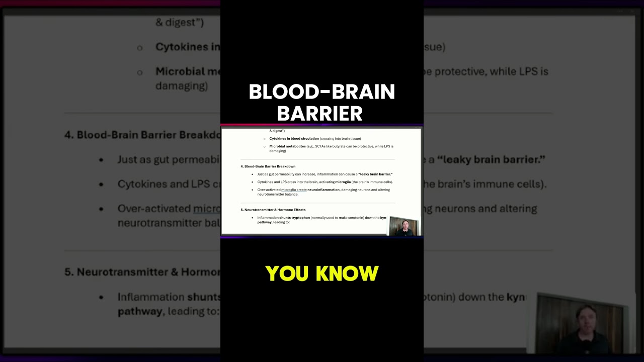 Prawda o nieszczelnym m&oacute;zgu i neurozapaleniu