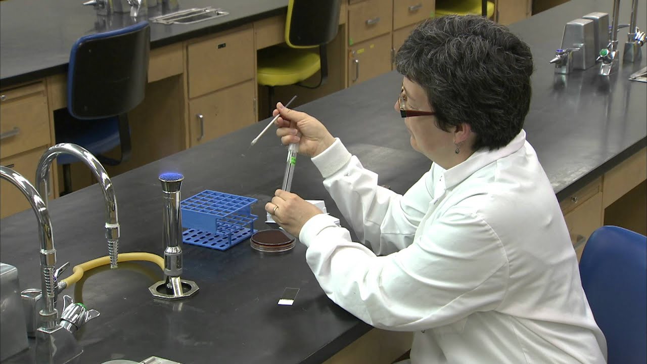 BMSC - Aseptic Technique