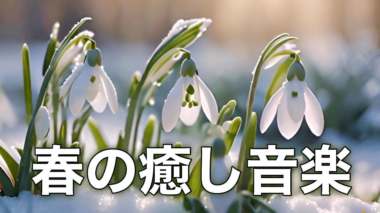 【春の癒しBGM】春を感じて心が落ち着く優しいリラックス音楽、自律神経を整え不安やストレス解消のためのヒーリングミュージック/睡眠用・作業用・勉強用BGM