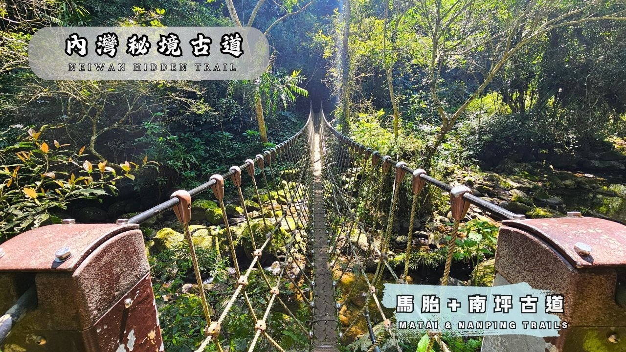 內灣老街旁的森林古道｜馬胎古道＋南坪古道輕鬆健行
