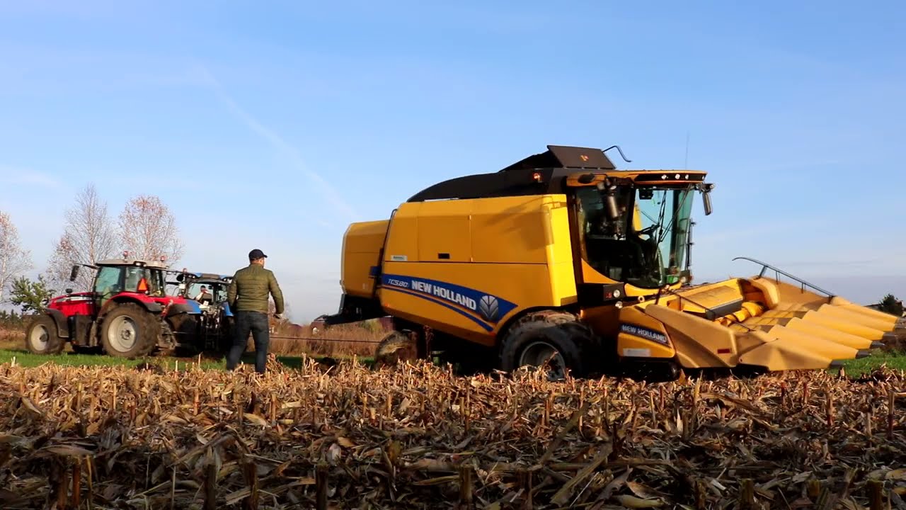 🔥 Koszenie kukurydzy na ziarno 2021 w ciężkich warunkach !🔥 2 New Holland'y tc 5 80 🔥 Gr Paradowski