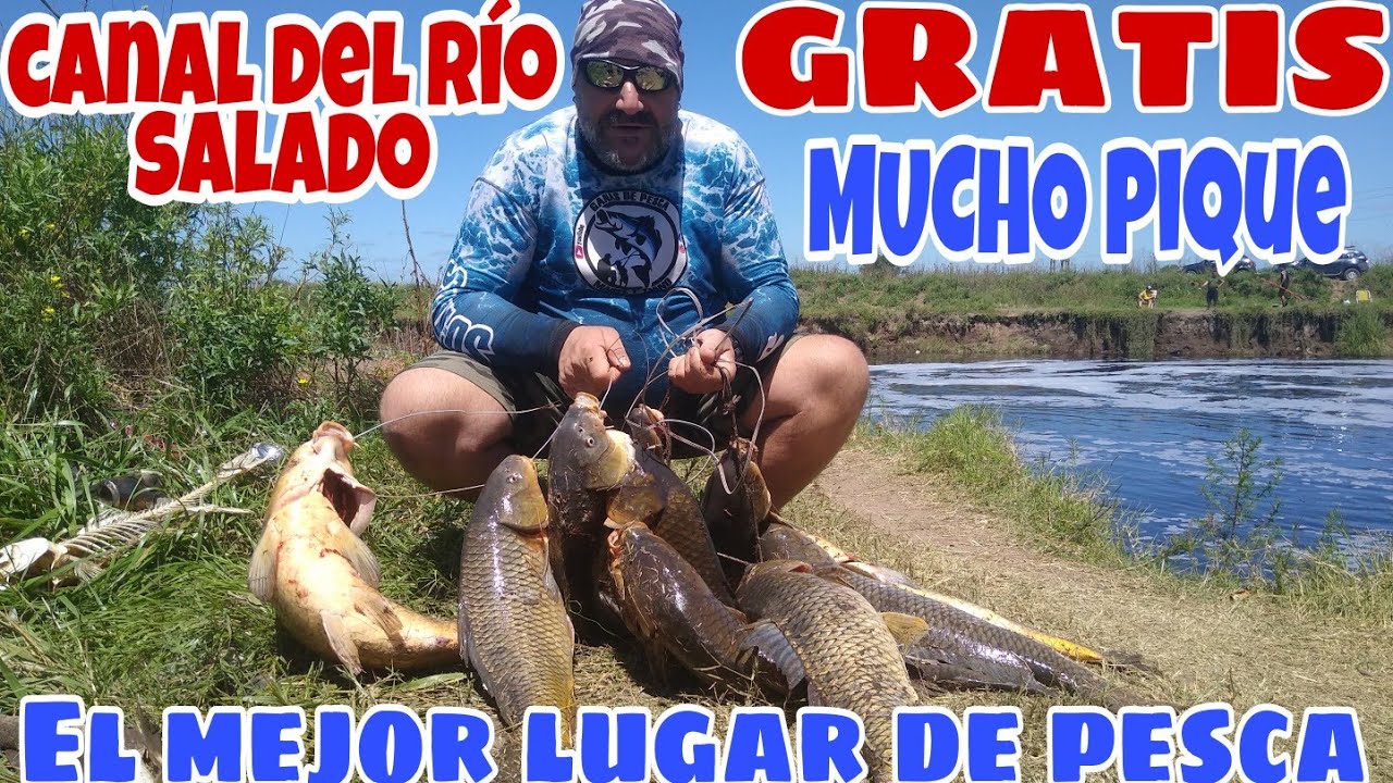 No pod&iacute;amos parar de pescar,el mejor lugar de pesca!mucho pique!el mejor d&iacute;a de pesca!!!Lugar gratis
