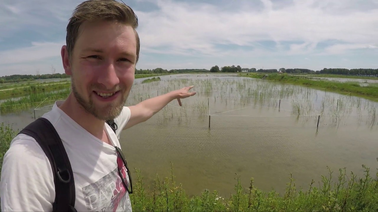 #107: Vogels kijken in Het Waterrijk - Park Lingezegen