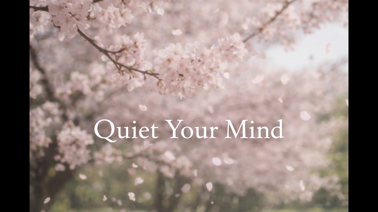 Relaxing Piano Under Cherry Blossoms | Calm Your Mind (120 Min)