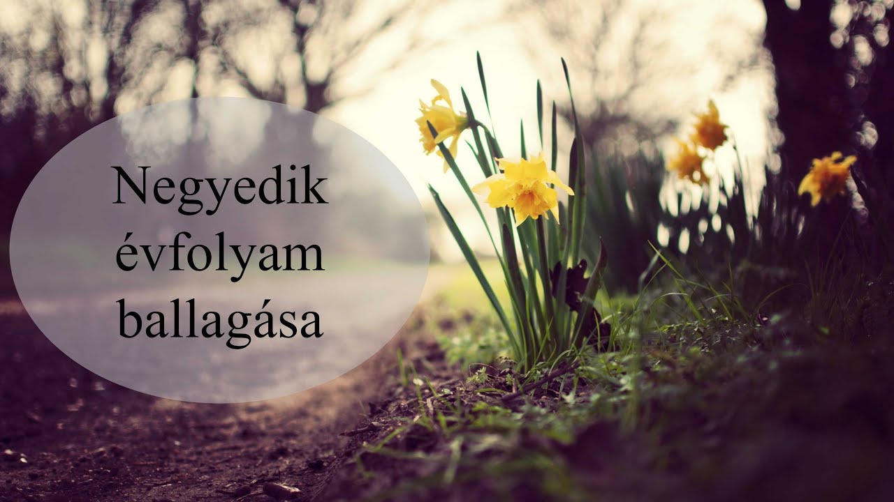 Negyedikes évfolyam ballagása