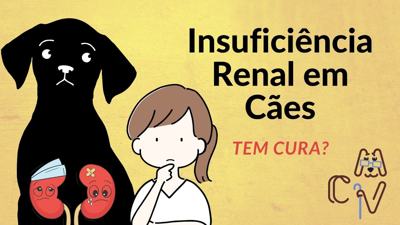 Insuficiência Renal Crônica em Cães tem tratamento?