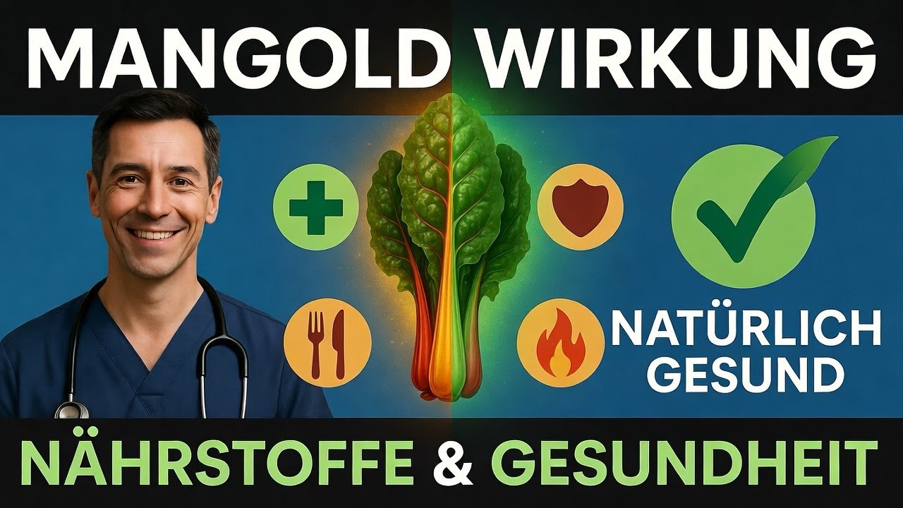 Mangold: Die unterschätzten gesundheitlichen Vorteile | Nährstoffe, Wirkung & warum er so gesund ist