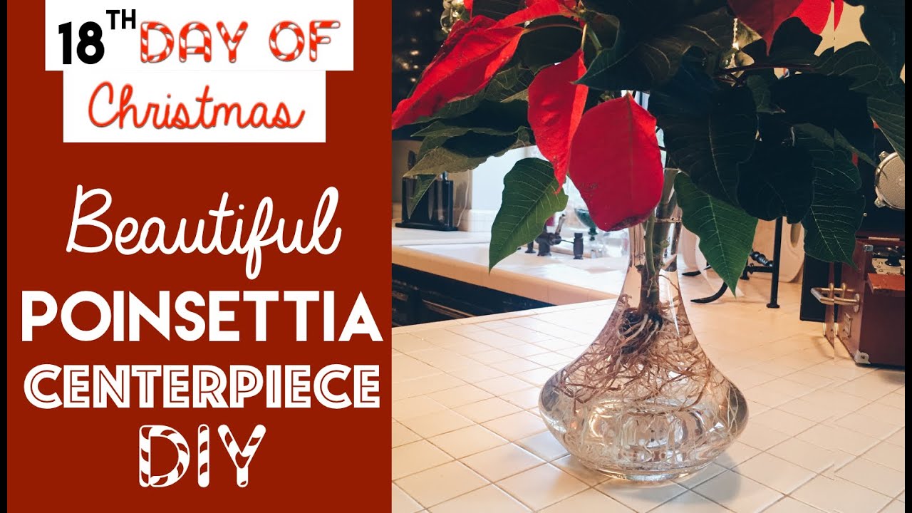 Beautiful DIY Poinsettia Centerpiece | 18th Day of Christmas 2015!