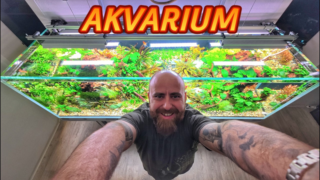 AKVARIUM 🐟 aké krmenie 🐠 kontroler PH, reaktor na CO2 💧