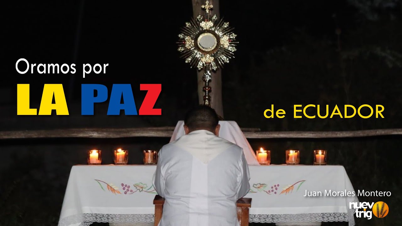 ARTESANOS DE LA PAZ 🕊❤️Juan Morales Montero / NuevoTrigo