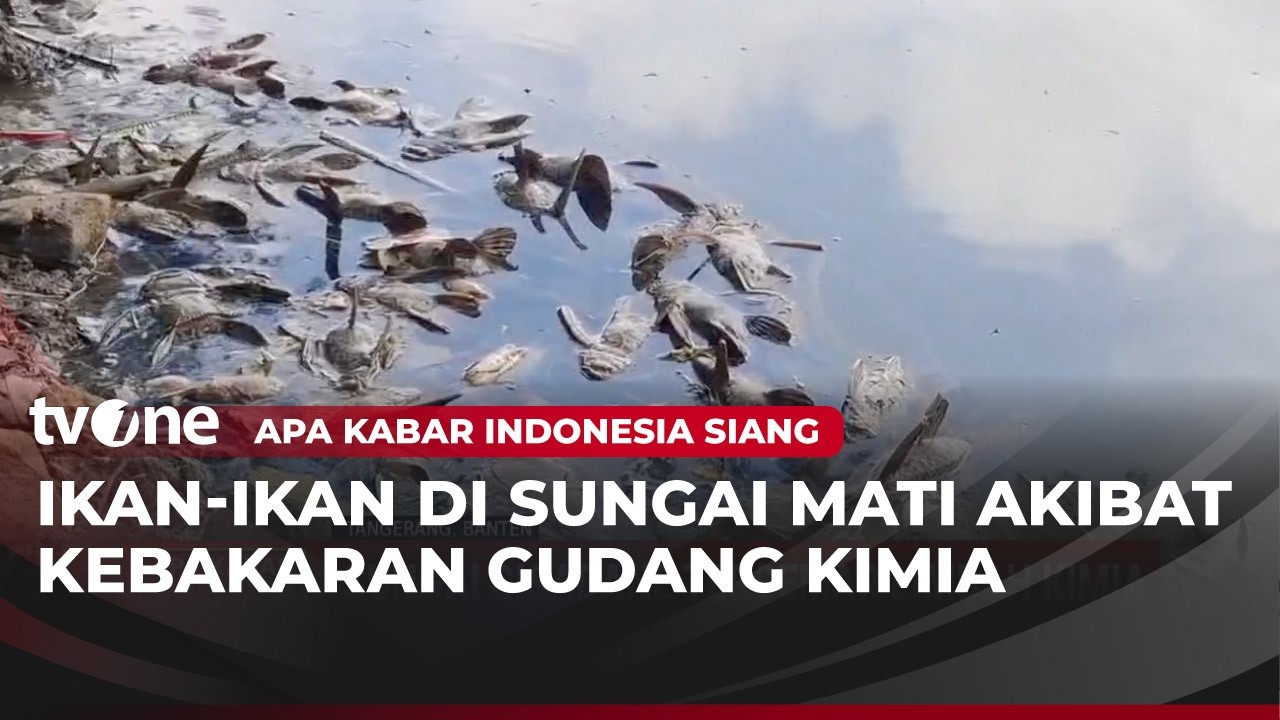Ikan di Sungai Cisadane Mati Mendadak | AKIS tvOne