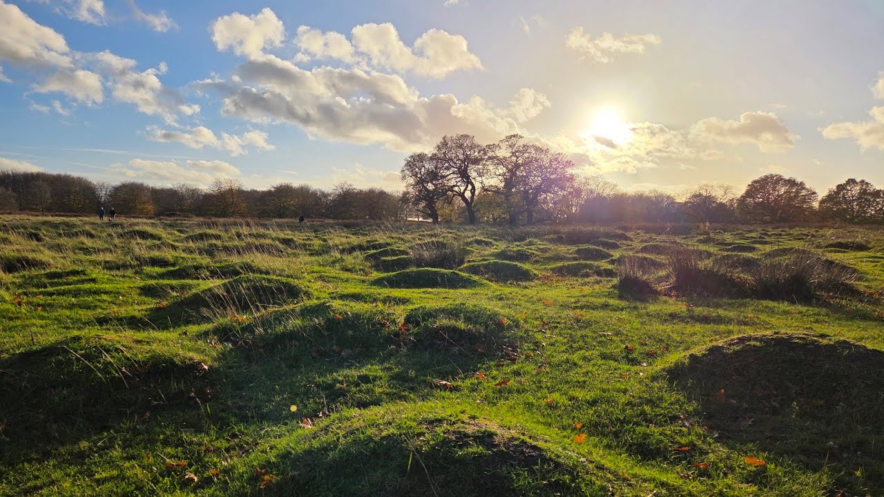 Sunny stroll through Richmond Park