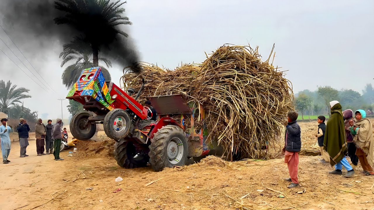 OMG! 😱 MF 385 tractor unbelievable power | tractor pulling sugarcane trolley 