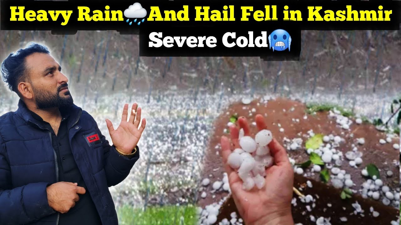 Severe Cold🥶 || Heavy Rain 🌧 And Hail Fell in Kashmir || It Rained All Night And Day ||