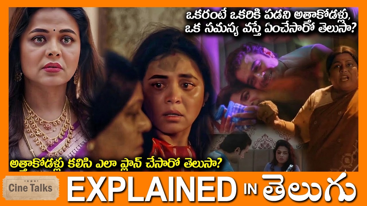 అత్తాకోడళ్లు కలిసి ఎలా ప్లాన్ చేసారో తెలుసాfull movie Story explained in Telugu-Full Movie explained