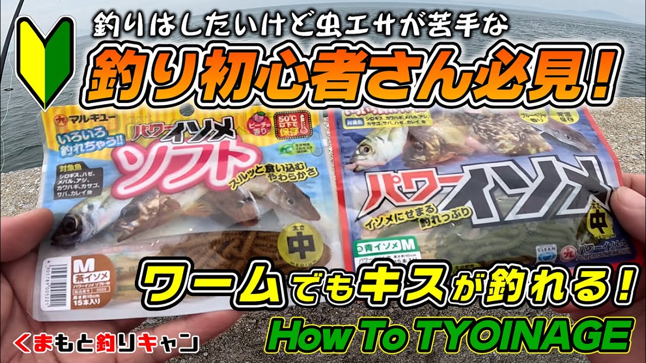 【虫エサが苦手な釣り初心者の方必見！】パワーイソメでキス釣り