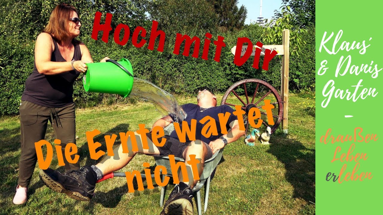August = Erntezeit = Aussaatzeit / Jetzt geht das Ernten richtig los / Was säen wir jetzt noch aus