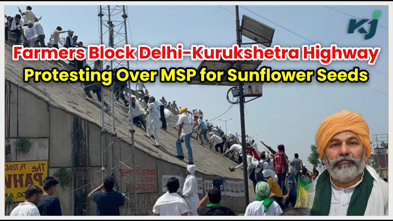 Kurukshetra: Farmers Block Delhi-Kurukshetra Highway Protesting Over MSP for Sunflower Seeds