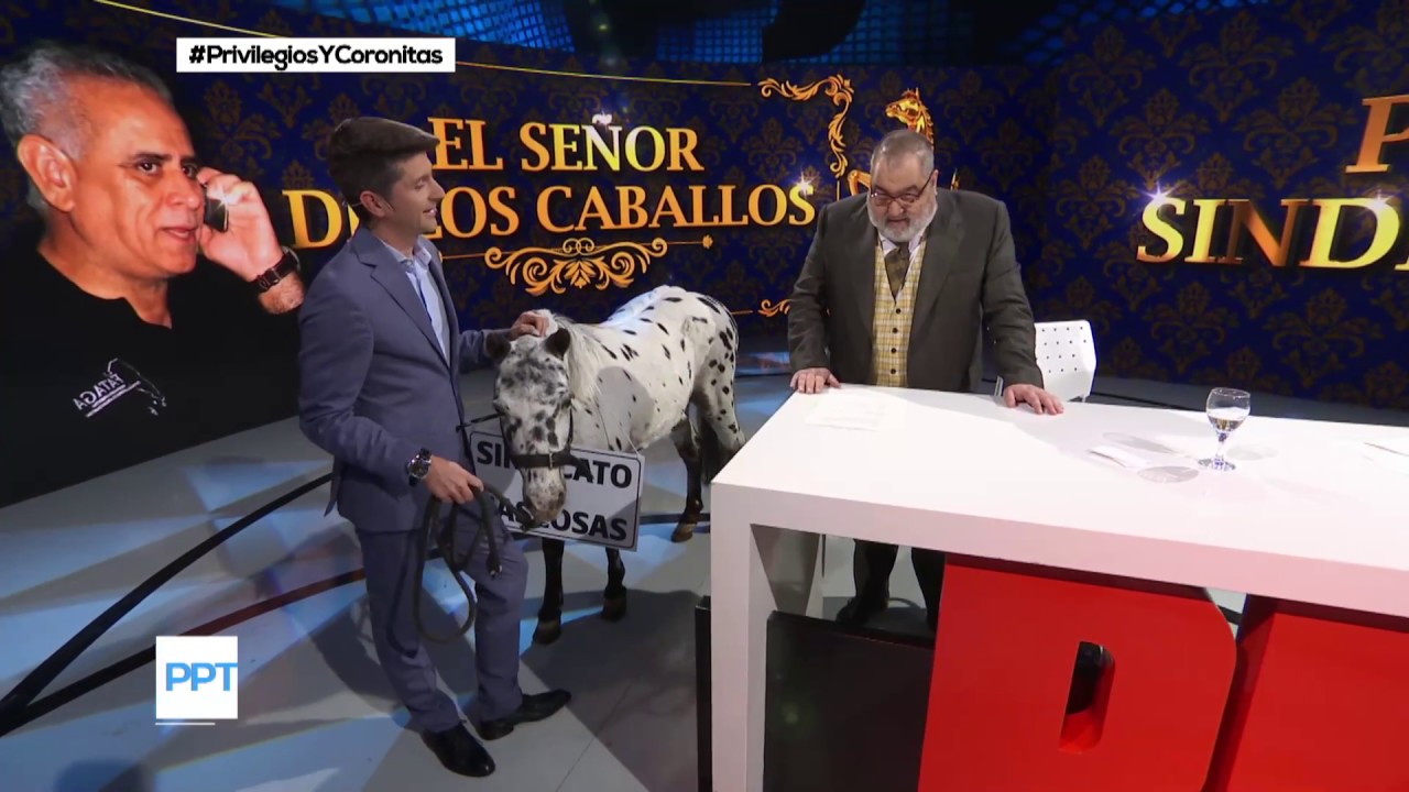 #PornoSindicalismo El sindicalista de aguas y Gaseosas cría caballos holandeses