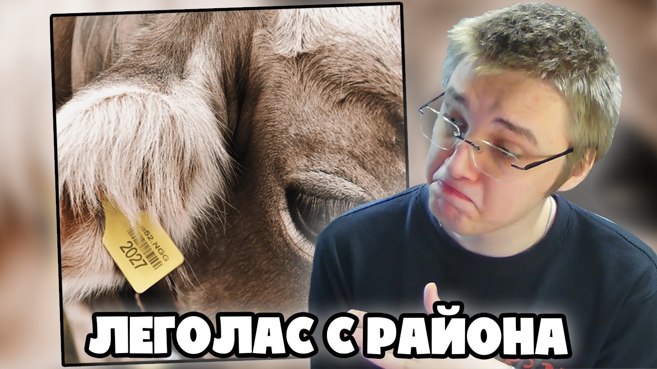 FRIENDLY THUG 52 NGG - COW | РЕАКЦИЯ
