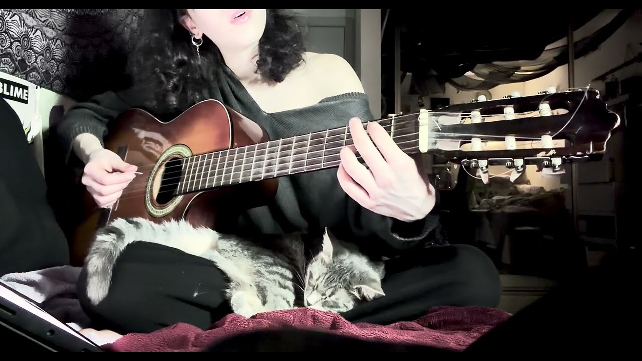 Pool - Samia Cover (with cat)
